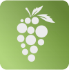 Bunch logo