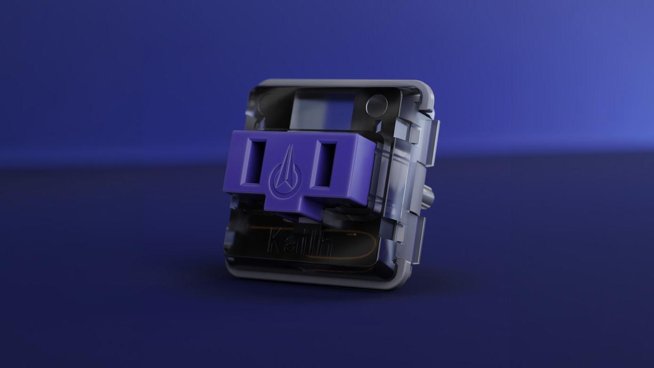 A Platypus keyswitch up close