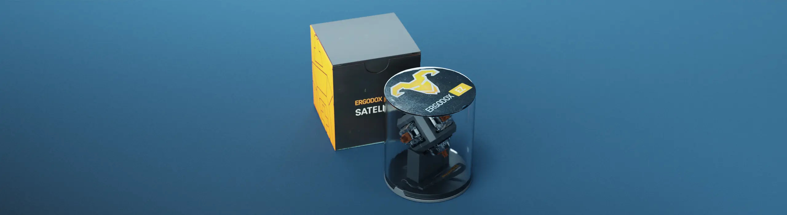 The Satellite