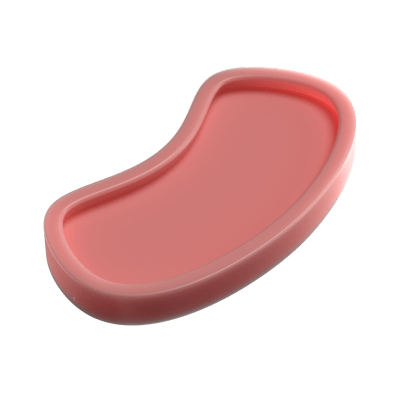 Bean Flat (5mm Padding)