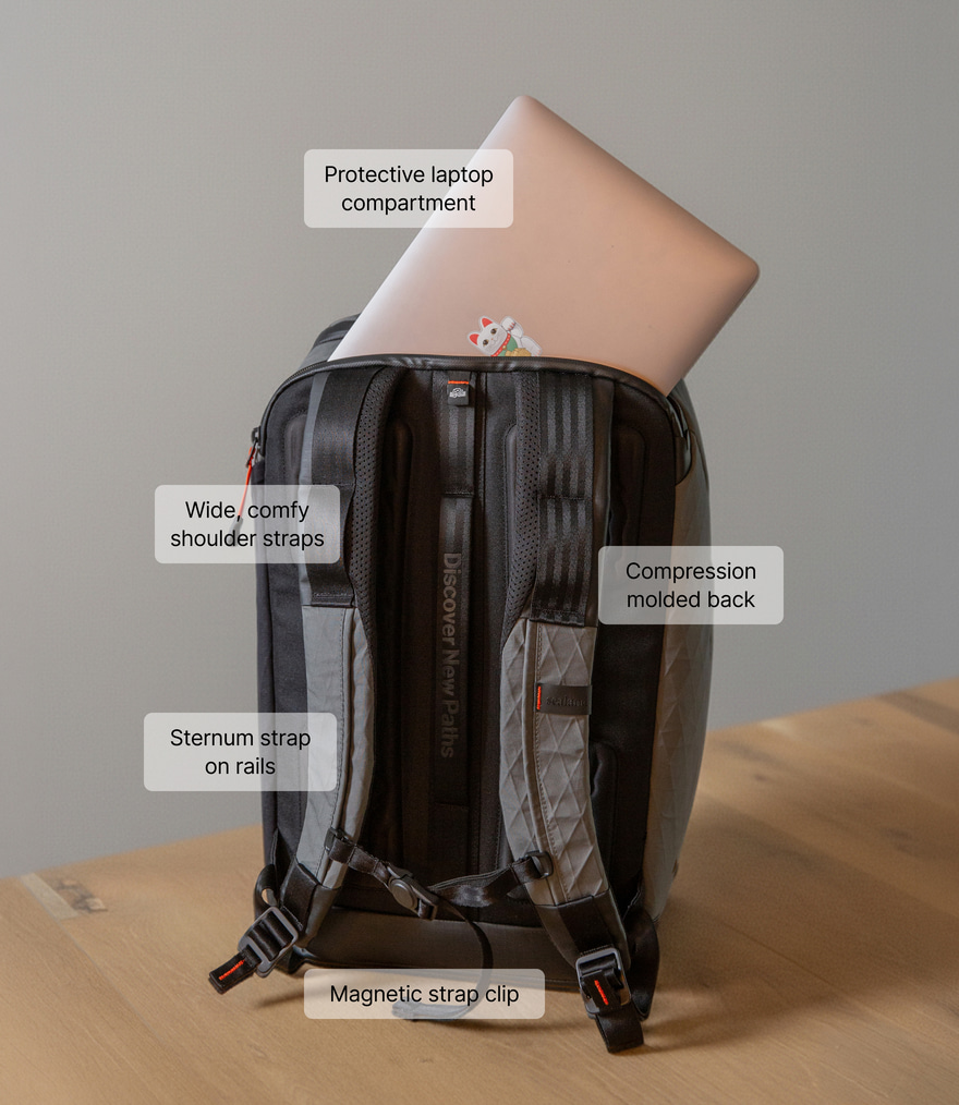 The back panel of the ZSA Backpack showing the ergonomic shoulder straps and luggage pass-through for easy travel.